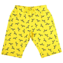 boys-printed-shorts-500x500